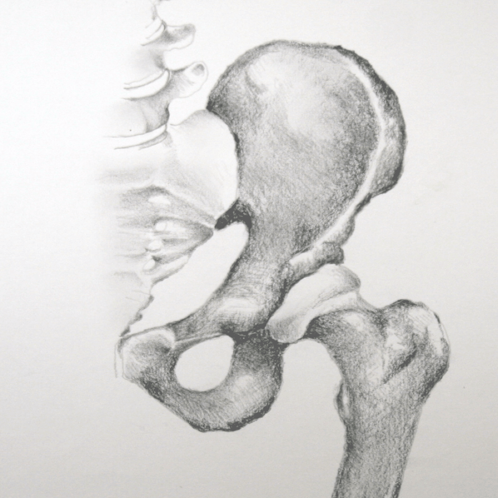 Hand-drawn anatomy illustration — hip arthroscopy